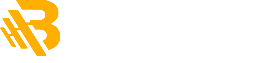 Logo_bigtranz_1.png